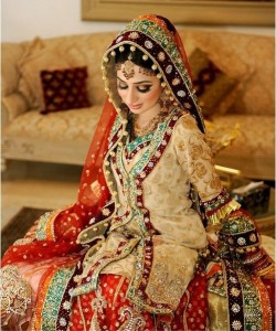 Paistani Bridal Dresses-Stylesgap (19)