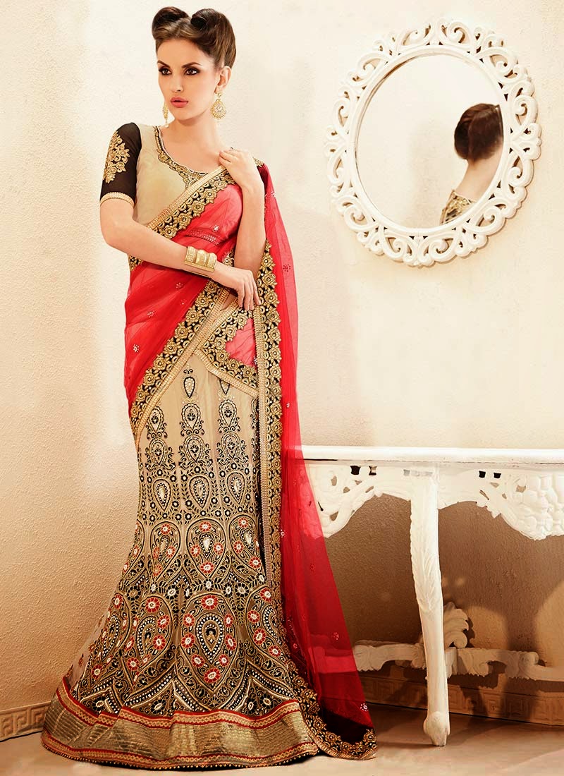 Latest Indian and Asian Designer Party wear and wedding Saree Collection for Women 2014-2015 (13)