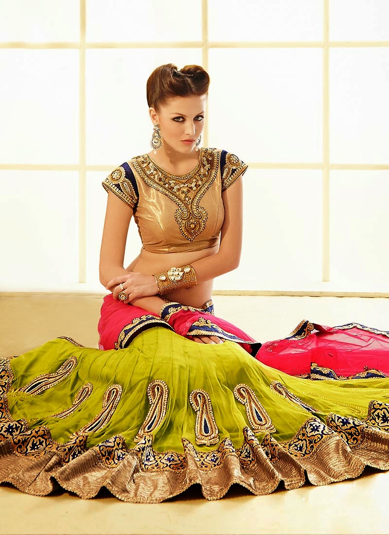 Latest Indian and Asian Designer Party wear and wedding Saree Collection for Women 2014-2015 (6)