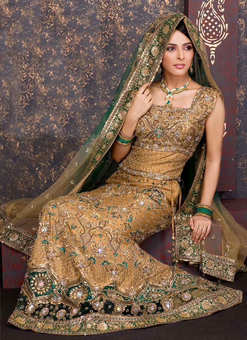 Latest Designs of Party & Wedding Formal Lehenga Choli Dresses collection for women 2014-2015 (1)
