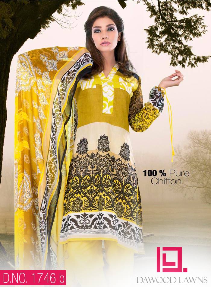 New Stylish and Fancy Chiffon & Khaddar Winter Dresses Eid ul Azha Collection 2014-2015 by Dawood Textiles Mill (8)