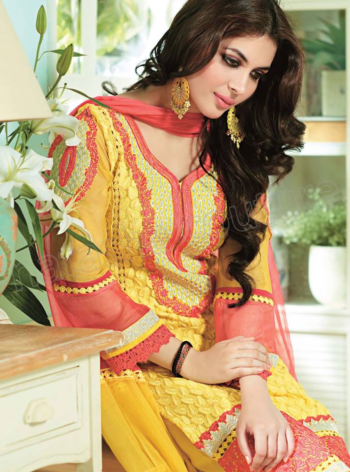 Pakistani & Indian Straight Cut Dresses Collection 2015-2016 (23)
