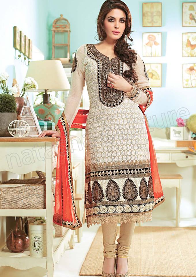 Pakistani & Indian Straight Cut Dresses Collection 2015-2016 (26)