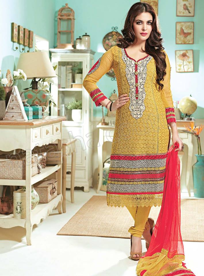Pakistani & Indian Straight Cut Dresses Collection 2015-2016 (29)