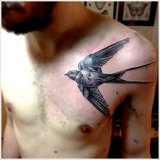 Latest Bird Tattoos Ideas for Men 2015-2016 (13)