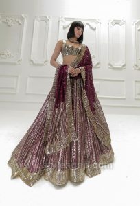 Stylish Crop Tops Skirts & Lehengas