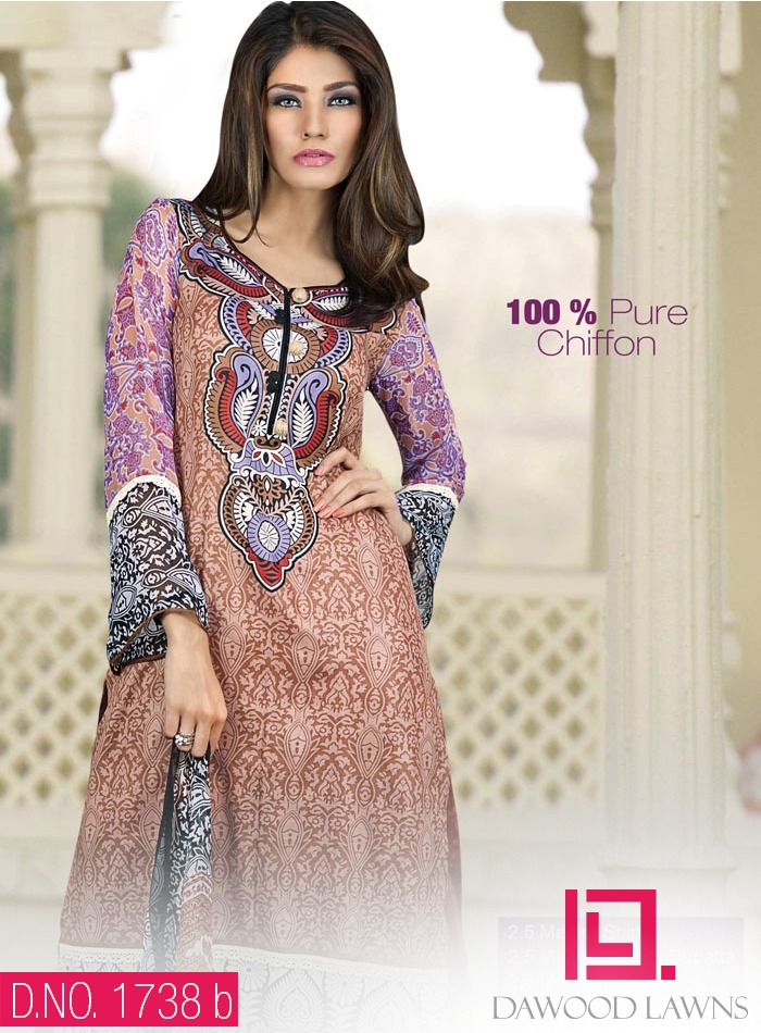 New Stylish and Fancy Chiffon & Khaddar Winter Dresses Eid ul Azha Collection 2014-2015 by Dawood Textiles Mill (4)