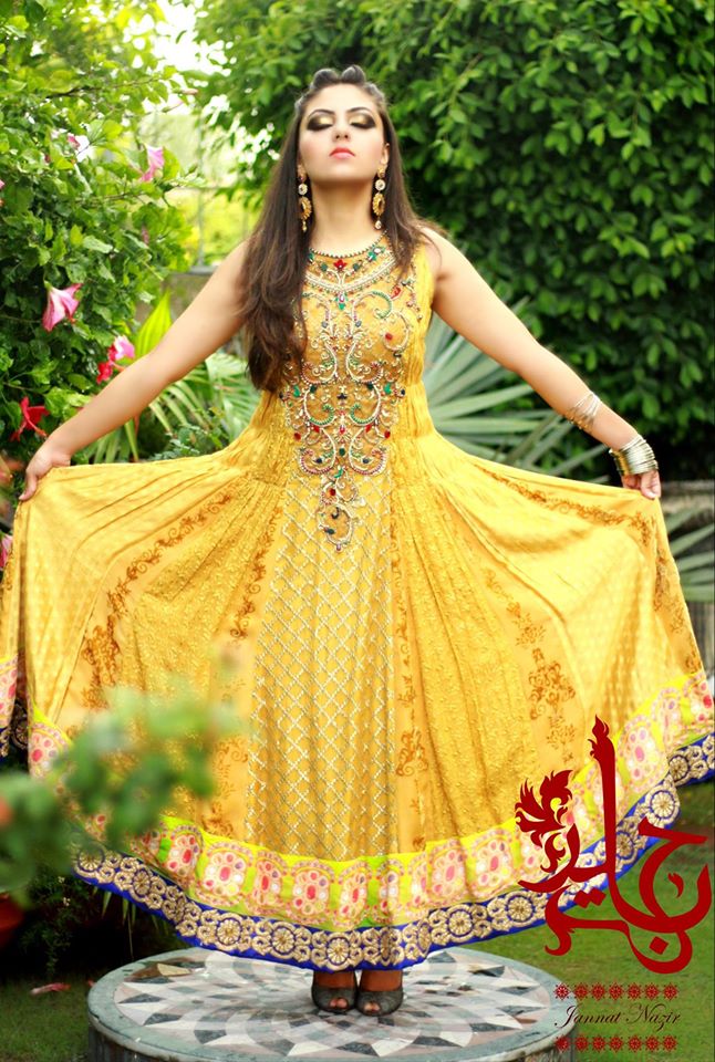 beautiful fancy frock