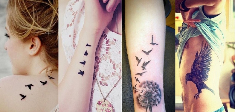 Winged Wonders Bird Tattoo Designs That Will Take Your Breath Away