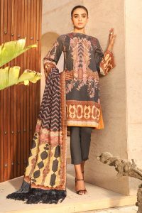 Latest Pant Saree Styles & Designs