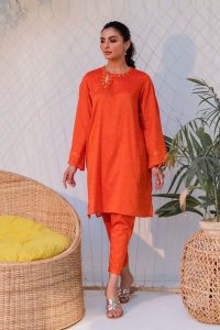 Ego Modern Ladies Trendy Shirts & Kurtas Collection