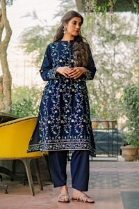 Ego Modern Ladies Trendy Shirts & Kurtas Collection