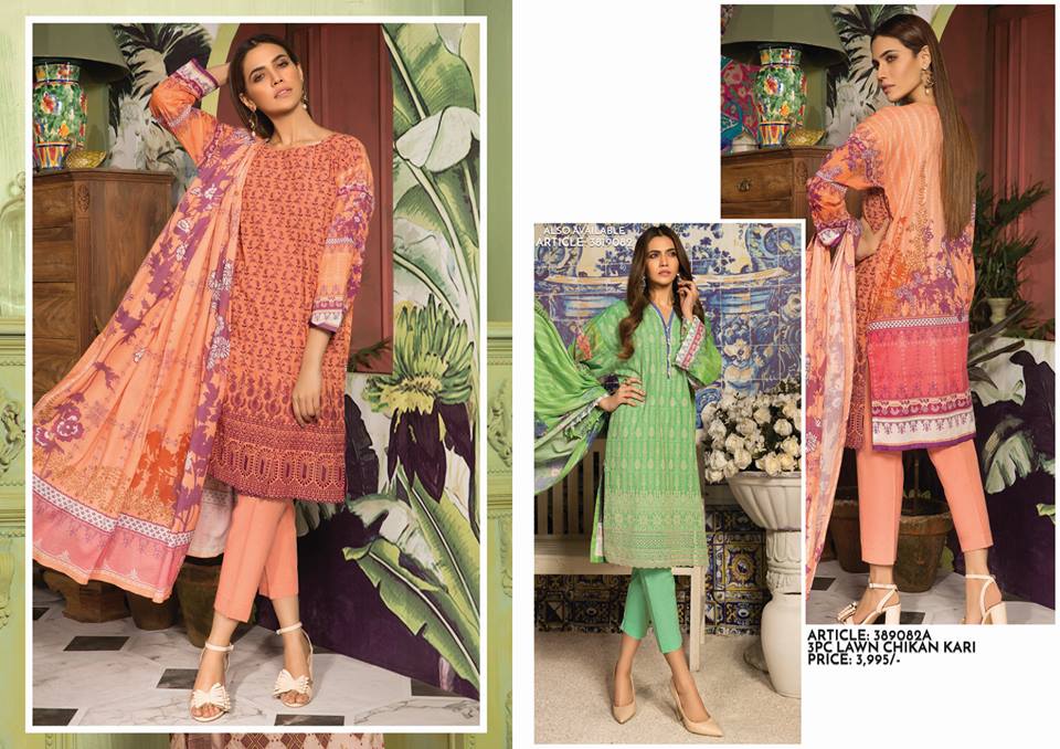 warda chiffon collection 2020