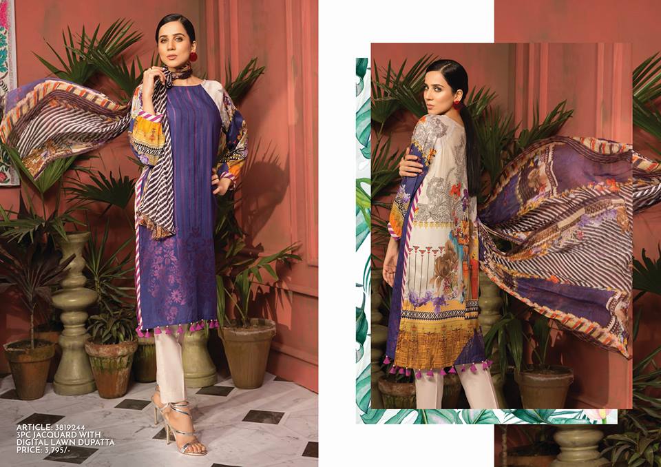 warda chiffon collection 2020