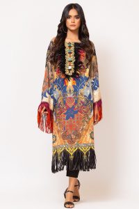 Pakistani Fashion Latest Women Best Winter Dresses Designs