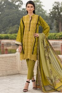 Chikan Kari Latest Women Designer Winter Dresses