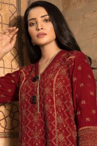 Chikan Kari Latest Women Designer Winter Dresses