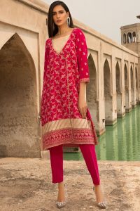 Chikan Kari Latest Women Designer Winter Dresses