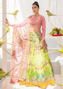 Ali Xeeshan Latest Bridal Dresses Latest Wedding Collection