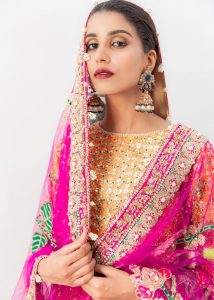 Ali Xeeshan Latest Bridal Dresses Latest Wedding Collection