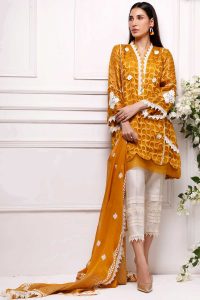Beautiful Formal Eid Dresses Designs