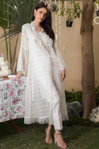 Beautiful Formal Eid Dresses Designs