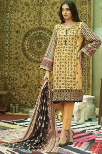 Latest Women Designer Winter Dresses