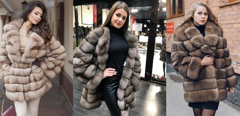 Mink Fur Coats vs Sable Coats Which one to buy