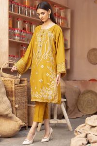 Latest Women Designer Winter Dresses
