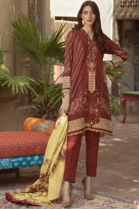 Latest Women Designer Winter Dresses
