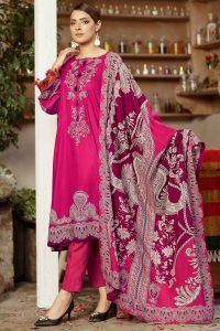 Latest Women Designer Winter Dresses