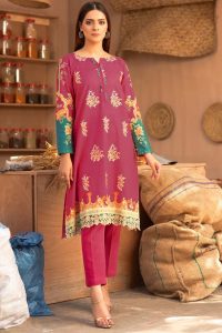 Latest Women Designer Winter Dresses