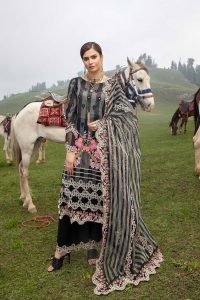 Latest Eid ul Azha Women Fancy Dresses