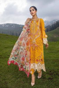 Latest Eid ul Azha Women Fancy Dresses