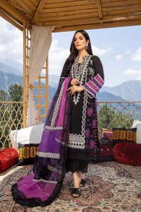 Latest Eid ul Azha Women Fancy Dresses