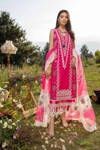 Latest Eid ul Azha Women Fancy Dresses