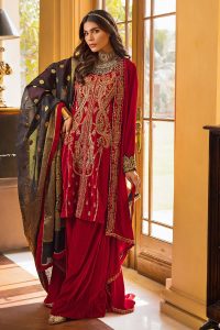Fancy Winter Velvet Dresses & Shawls