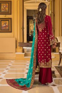 Fancy Winter Velvet Dresses & Shawls