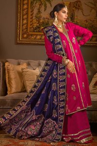Fancy Winter Velvet Dresses & Shawls