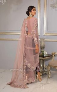 Latest Pant Saree Designs & Trends