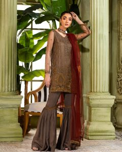 Nimsay Stylish Formal Dresses