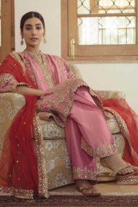 Trendy Designer Punjabi Salwar Suits
