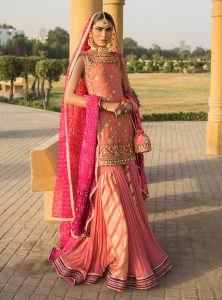 Latest Formal Wedding Bridal Sharara Designs