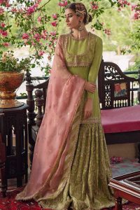 Wedding Bridal Sharara