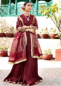 very elegant maroon color fancy frock