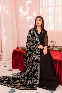 heavy embroidered shawl with plain suit