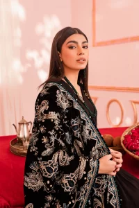 heavy embroidered shawl with plain dress