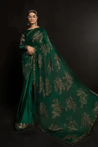 block and screen printed pallu with velvet blouse green color saree