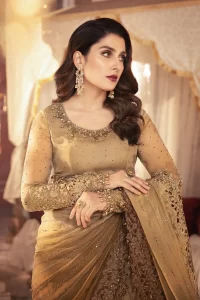 coffee brown chocolate color saree