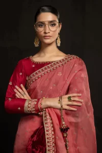 pink organza saree with velvet bouse